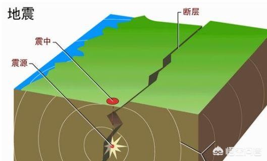 今日特码科普！西藏地震,百科词条爱好