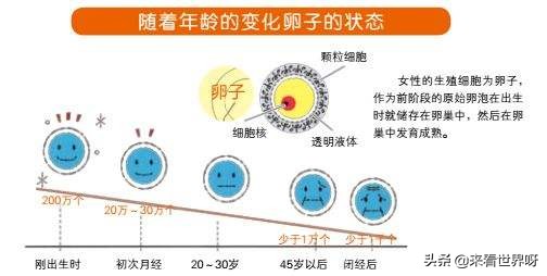 今日特码科普！9胞胎女子胎没保住,百科词条爱好