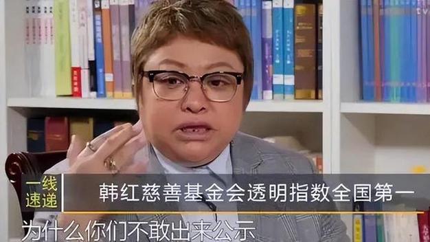 今日特码科普！韩红基金会捐赠名单,百科词条爱好