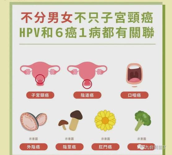 今日特码科普！首个男性HPV疫苗,百科词条爱好