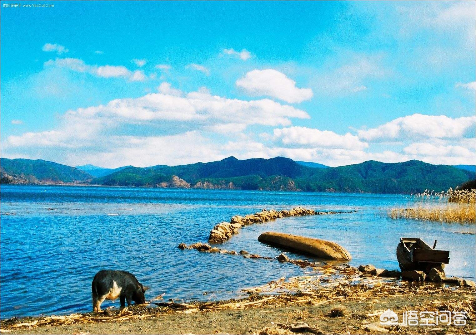 今日特码科普！云南迎25年首场降雪,百科词条爱好