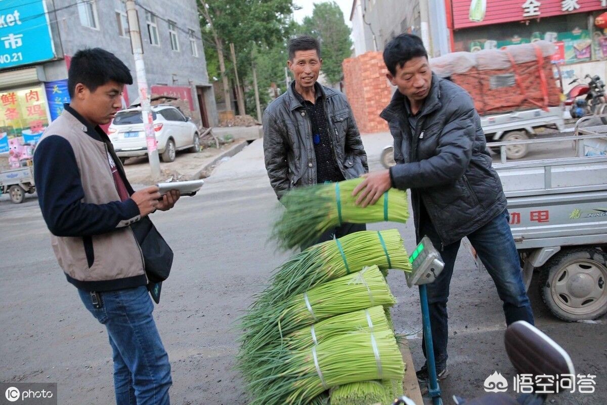 今日特码科普！车厘子价格暴跌80%,百科词条爱好