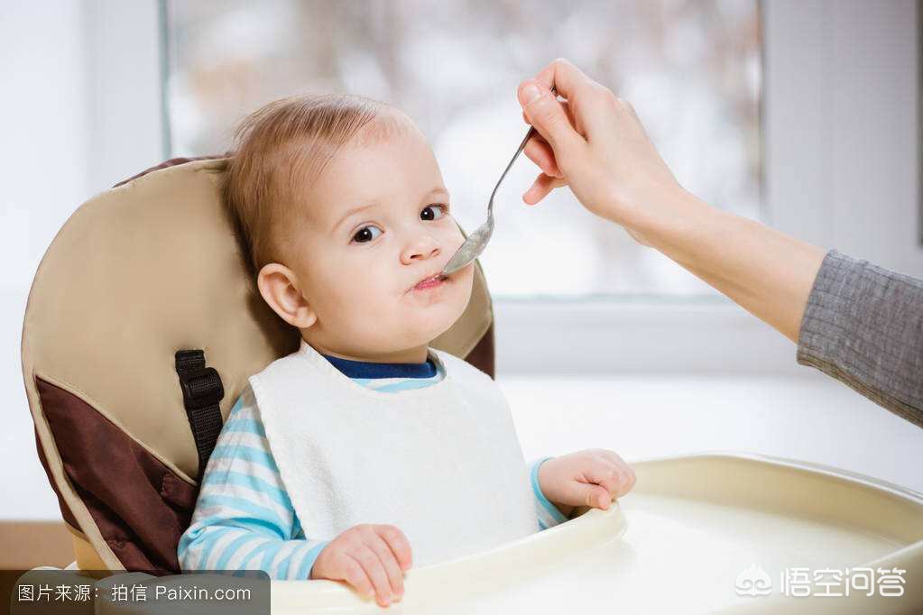 今日特码科普！给婆婆报月嫂培训班,百科词条爱好