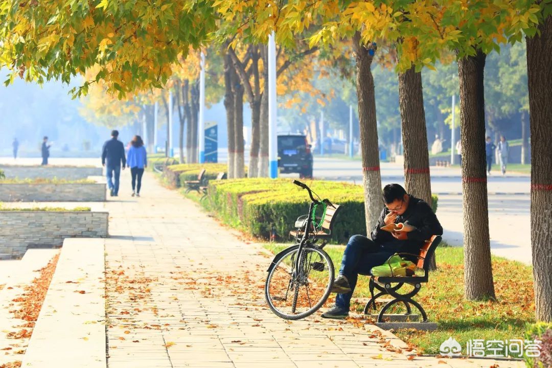 今日特码科普！扩大研究生培养规模,百科词条爱好