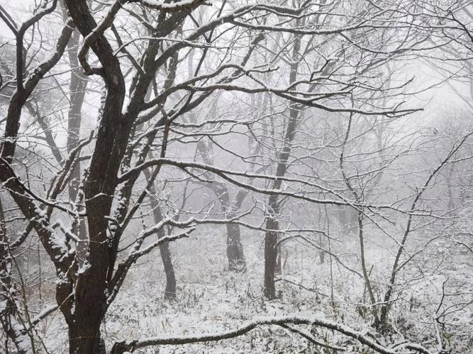 今日特码科普！郑州下雪,百科词条爱好