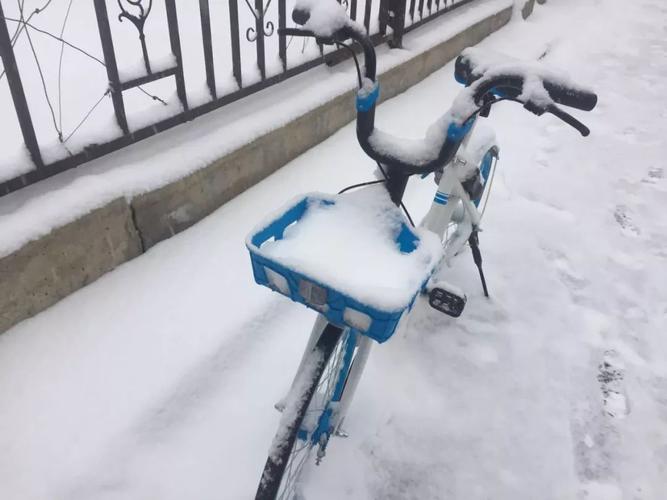 今日特码科普！79个路段因降雪封闭,百科词条爱好