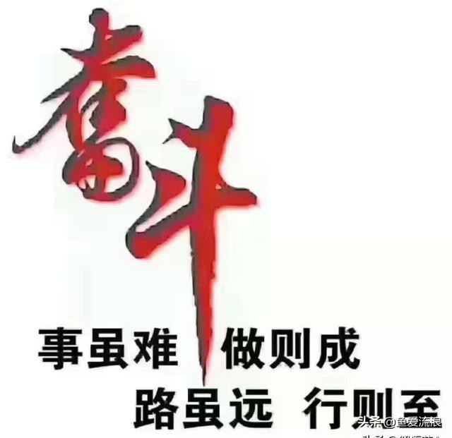 今日特码科普！企业发奖励超1亿元,百科词条爱好