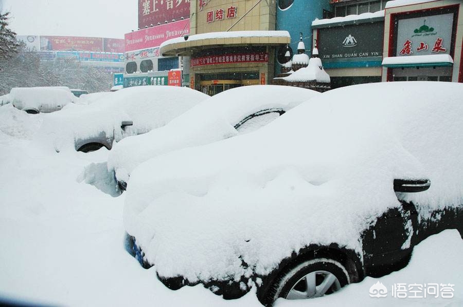 今日特码科普！大风暴雪预警生效中,百科词条爱好