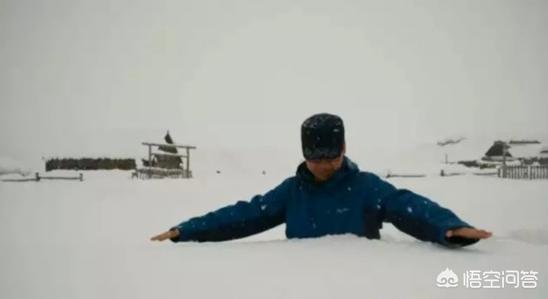 今日特码科普！大风暴雪预警生效中,百科词条爱好