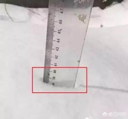 今日特码科普！大风暴雪预警生效中,百科词条爱好