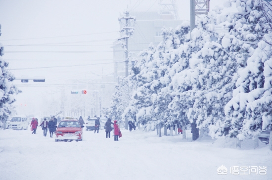 今日特码科普！大风暴雪预警生效中,百科词条爱好