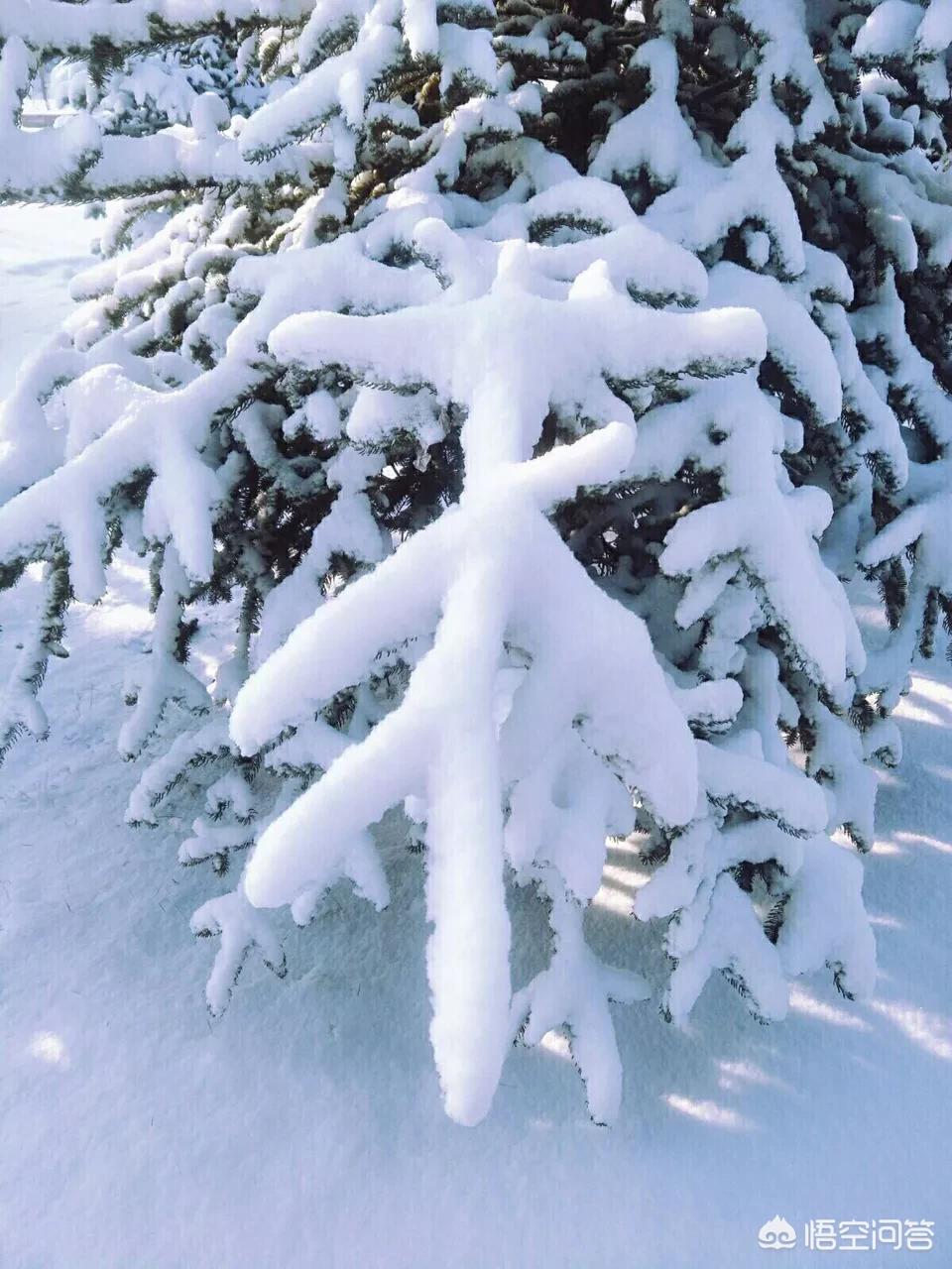 今日特码科普！大风暴雪预警生效中,百科词条爱好