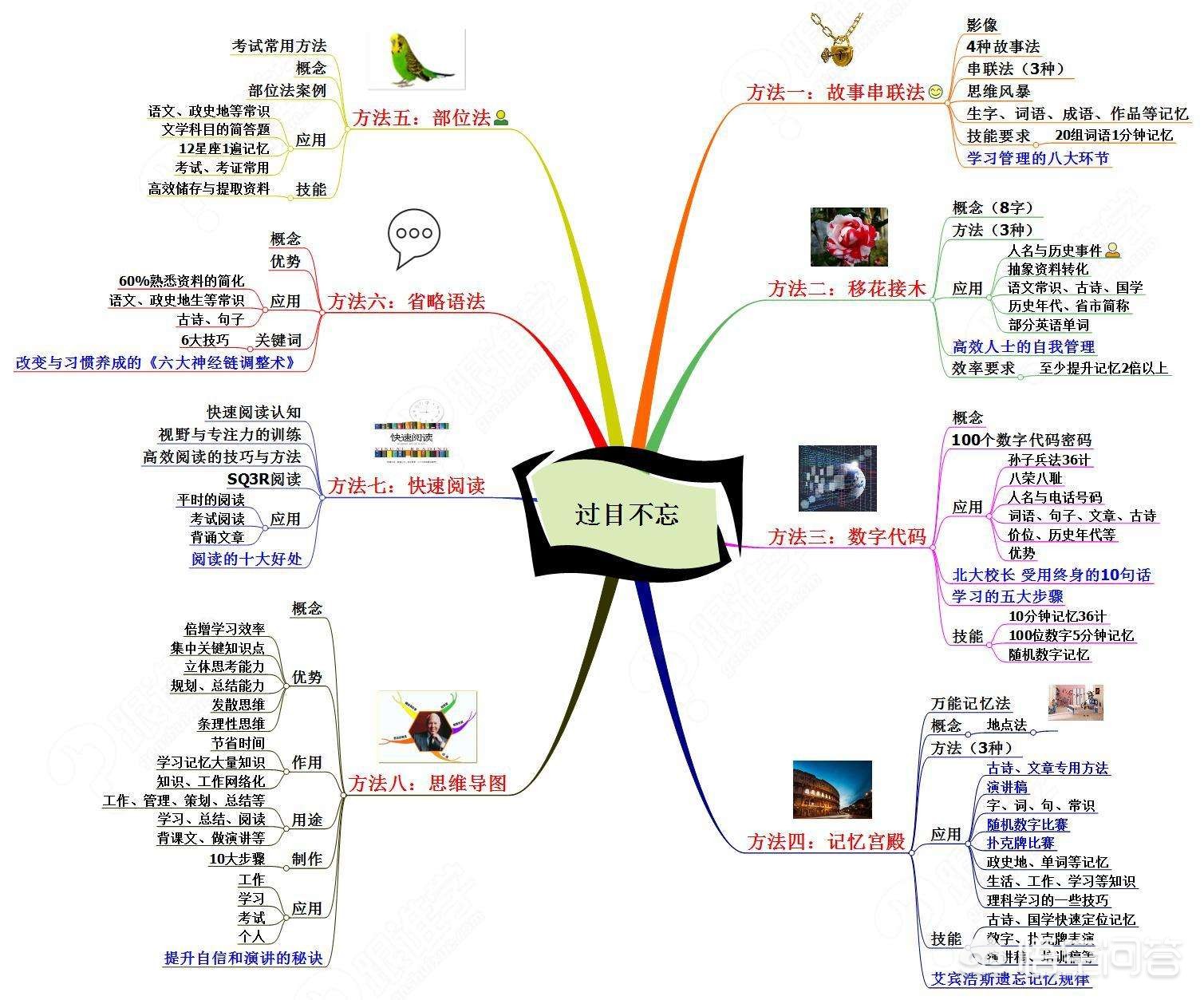 今日特码科普！清华女硕士做16道菜,百科词条爱好