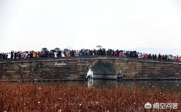 今日特码科普！春节出游5.01亿人次,百科词条爱好